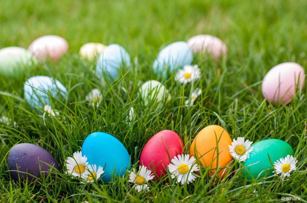 busqueda del huevo de pascua